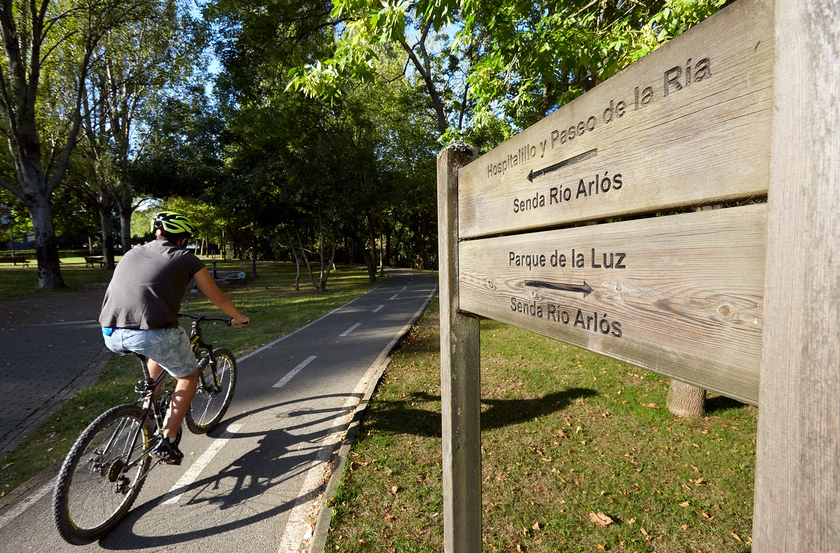 El Ayuntamiento de Avilés creará el Bosque Compensador de CO2